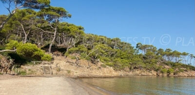 plage-porquerolles-proche-giens-var-e1622406871946